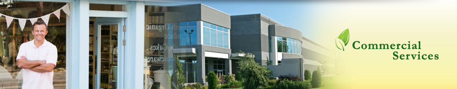 Commercial Services