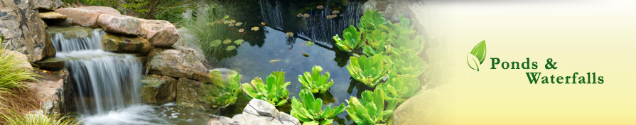 Ponds and Waterfalls